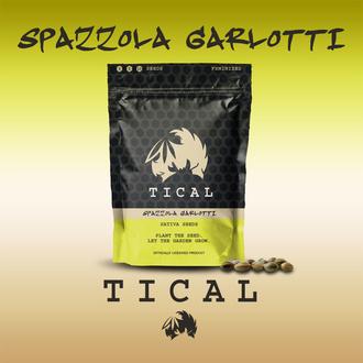 Spazzola Garletti (TICAL) Feminisoidut
