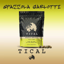 Spazzola Garletti (TICAL) Feminisoidut