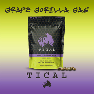 Grape Gorilla Gas (TICAL) Feminisoidut