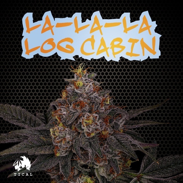 La-La-La Log Cabin (TICAL) Feminisoidut