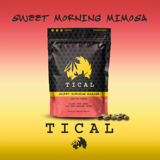 Sweet Morning Mimosa (TICAL) Feminisoidut