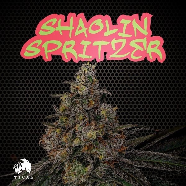 Shaolin Spritzer (TICAL) Feminisoidut