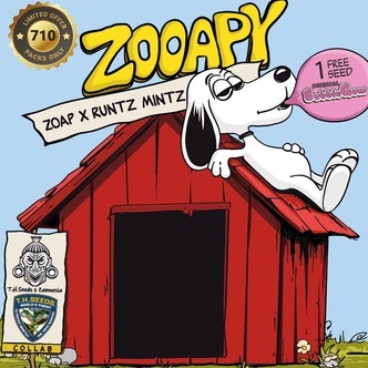 Zooapy (T.H. Seeds x Zamnesia Seeds) Feminisoidut
