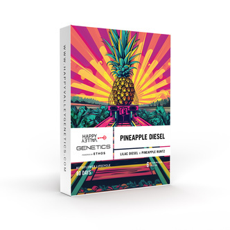 Pineapple Diesel (Happy Valley Genetics) Feminisoidut kannabiksen siemenet