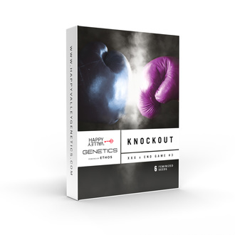 Knockout (Happy Valley Genetics) Feminisoidut