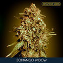 Somango Widow (Advanced Seeds) Feminisoidut