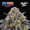 Arctic Cherries (Perfect Tree) Feminisoidut