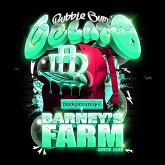 Bubblegum Gelato (Barney's Farm) Feminisoidut