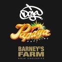 Papaya Frosting (Barney's Farm) Feminisoidut