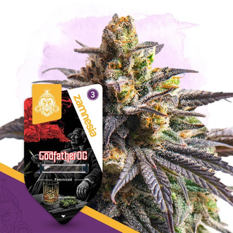 Godfather OG (Zamnesia Seeds) Feminisoidut