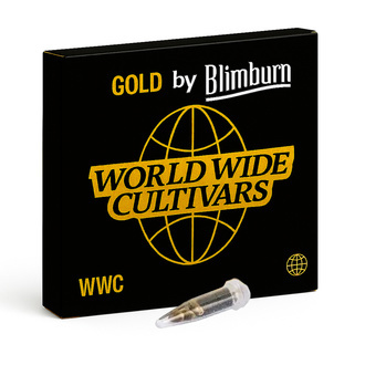 CBD ACDC (Blimburn Seeds) Feminisoidut