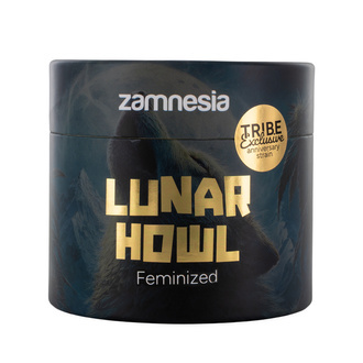 Lunar Howl (Zamnesia Seeds) - 7 Feminisoiduta siementä + grinderi