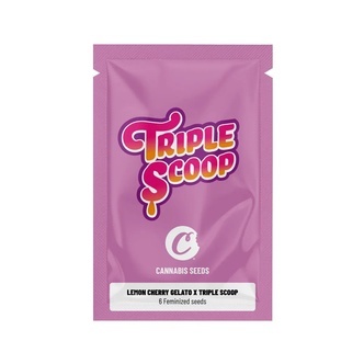Lemon Cherry Gelato x Triple Scoop (Cookies) feminisoidut kannabiksen siemenet