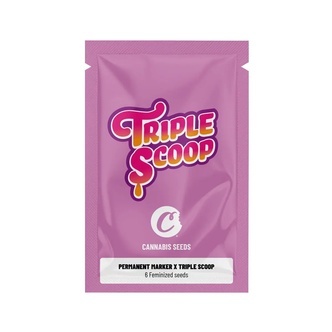 Permanent Marker x Triple Scoop (Cookies) feminisoitu