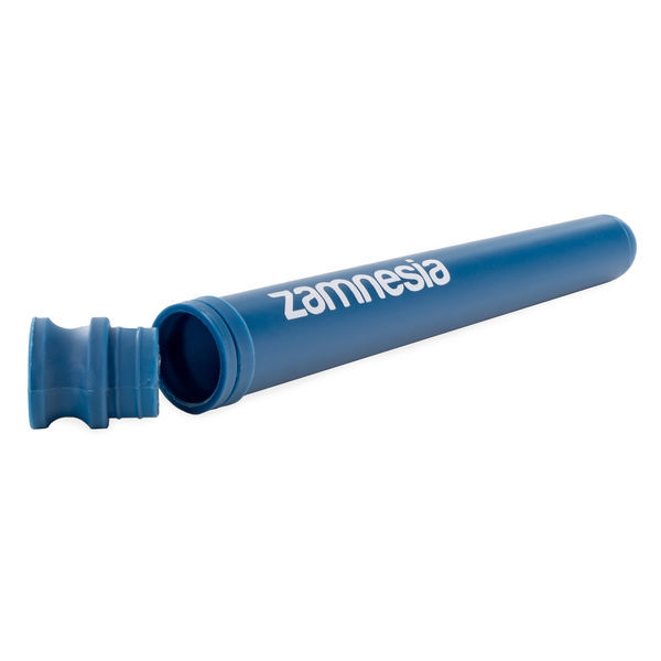 Joint-putkilo (Zamnesia)