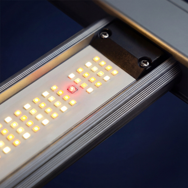 Phytonaut LED -kasvatusvalo 240 W (Zamnesia)