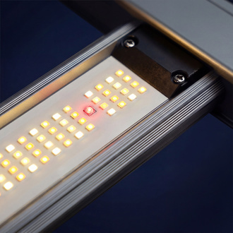 Phytonaut LED-kasvatusvalo 320 W (Zamnesia)