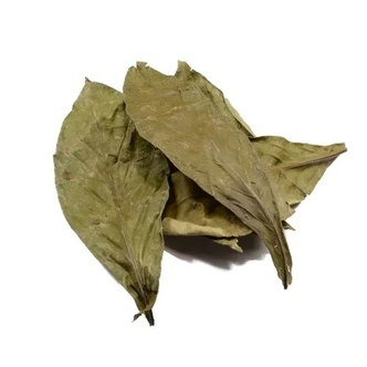 Chacruna (Psychotria viridis) 50 grammaa