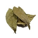 Chacruna (Psychotria viridis) 50 grammaa