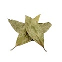 Chaliponga (Diplopterys cabrerana) 20 grammaa