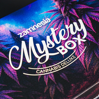 Kannabis-mysteerilaatikko &ndash; deluxe (Zamnesia)