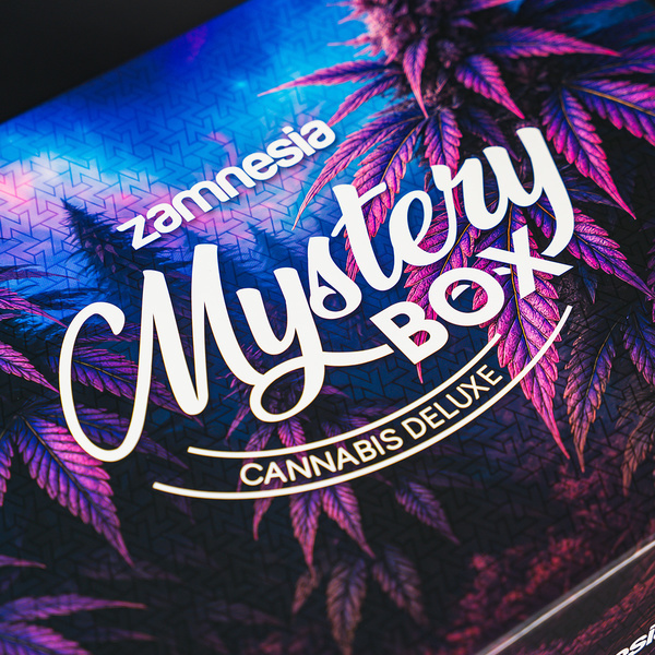 Kannabis-mysteeriboksi – deluxe (Zamnesia)