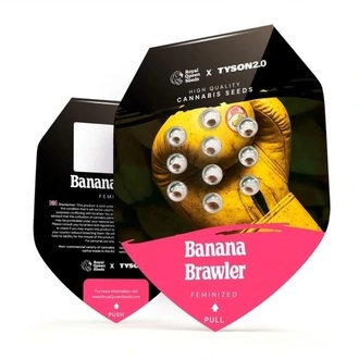 Banana Brawler (Royal Queen Seeds) Feminisoidut