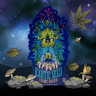 Cosmic Raiser (Exotic Seed) feminisoidut