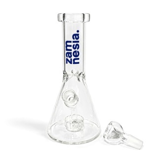 Zamnesia x HEMPER - 8" beaker-bongi