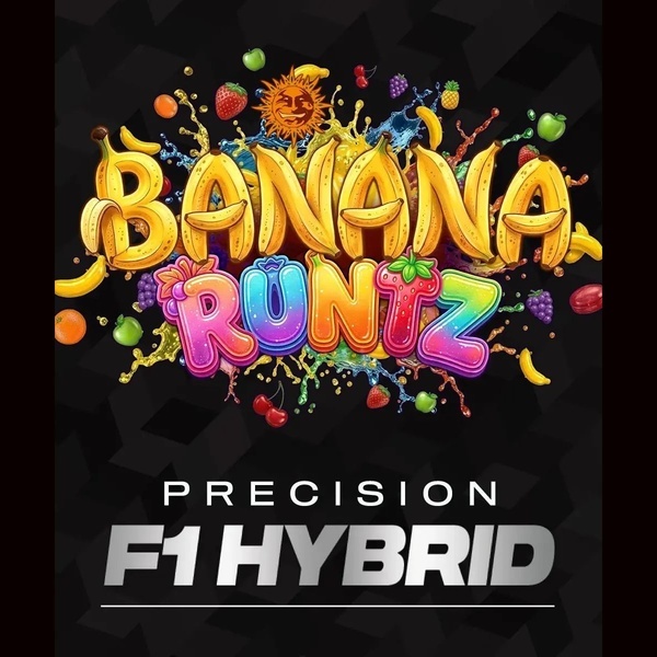 Banana Runtz F1 (Barney's Farm) Feminisoidut