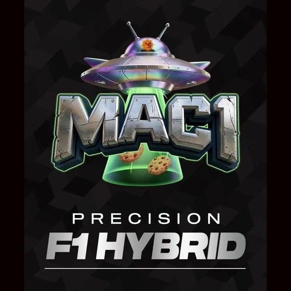 MAC 1 F1 (Barney's Farm) Feminisoidut