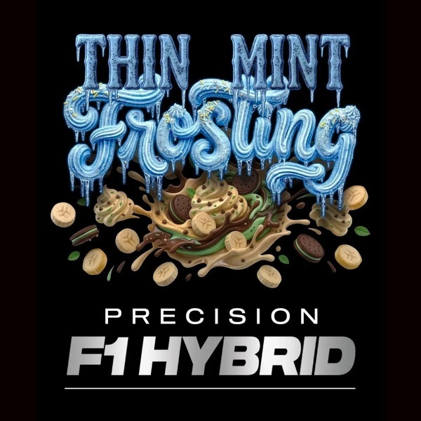 Thin Mint Frosting F1 (Barney's Farm) Feminisoidut