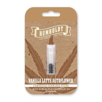 Vanilla Latte Auto (Humboldt Seed Company) Feminized