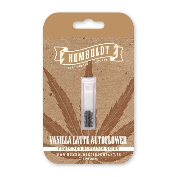 Vanilla Latte Auto (Humboldt Seed Company) Feminized