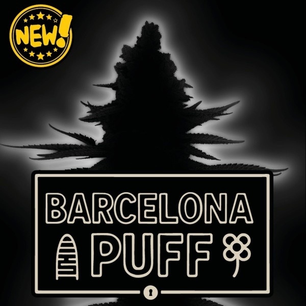 Barcelona Puff Auto (Seedstockers) Feminisoidut