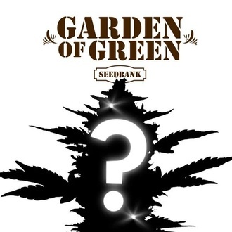 CBD-mysteerisiemen 1 (Garden of Green)
