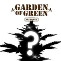 CBD-mysteerisiemen 1 (Garden of Green)