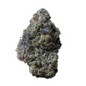 Gary Sherbet™ (FastBuds) Feminisoidut