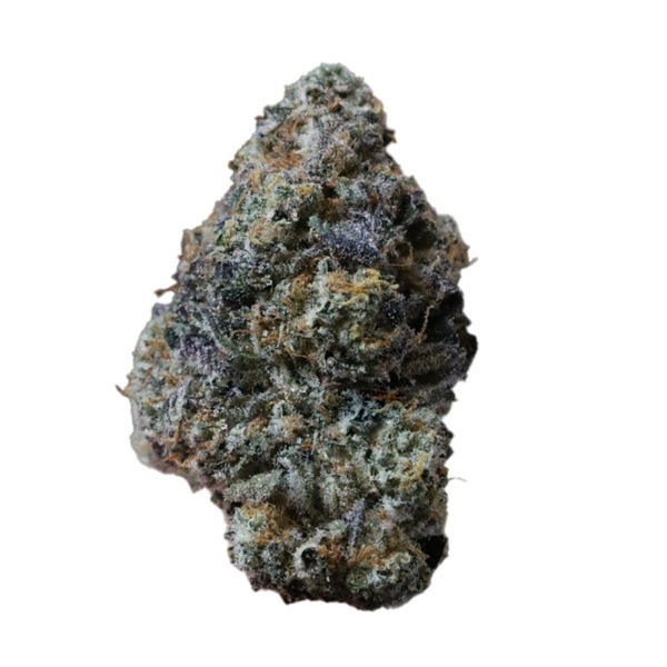 Gary Sherbet™ (FastBuds) Feminisoidut