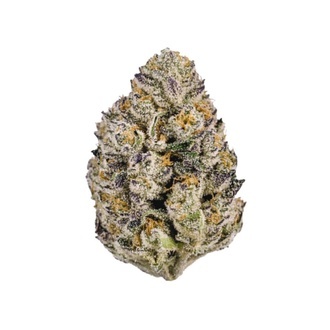 Lemon Cherry Runtz (Fast Buds) feminisioitu