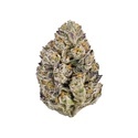 Lemon Cherry Runtz (Fast Buds) feminisioitu