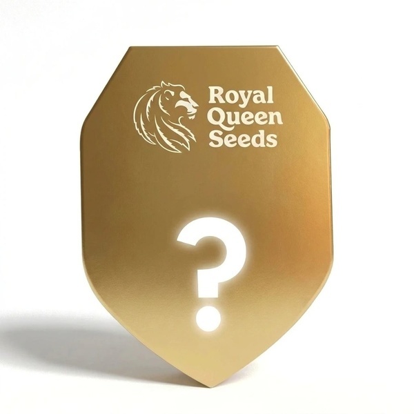 Autoflower F1 -mysteerisiemen 3 (Royal Queen Seeds)