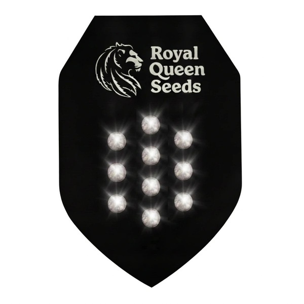 Autoflower-mysteerisiemenet 10 (Royal Queen Seeds)