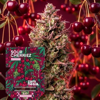 Sour Cherriez (Zamnesia Seeds) Feminisoidut