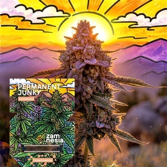 Permanent Junky (Zamnesia Seeds) Feminisoidut