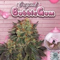 Bubblegum (T.H. Seeds) Feminisoitu