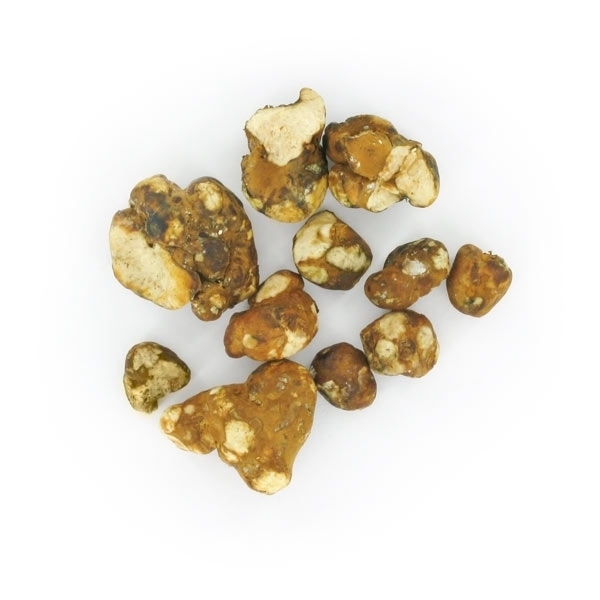 Tampanensis Maagiset tryffelit