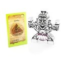 Anubis (Pyramid Seeds) Feminisoidut