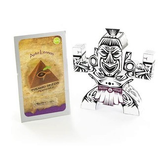 Auto Lennon (Pyramid Seeds) Feminisoidut