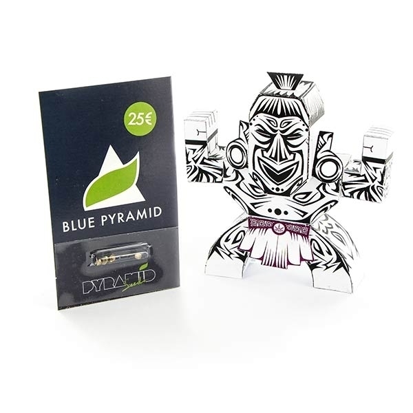 Blue Pyramid (Pyramid Seeds) Feminisoidut
